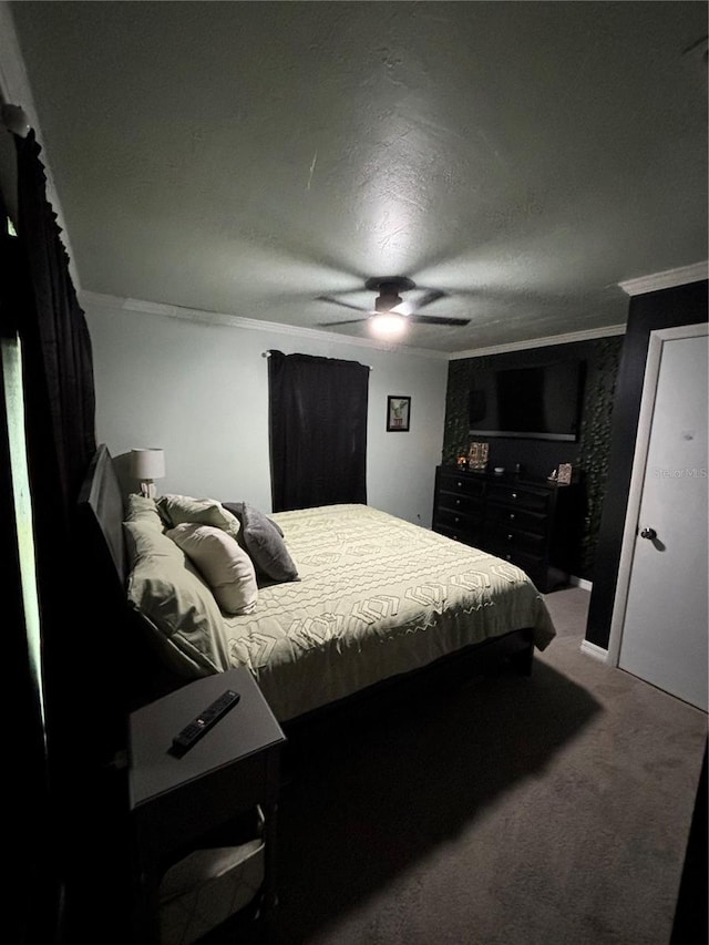 16490 NE 25th Ln, Williston, FL 32696 - photo 6