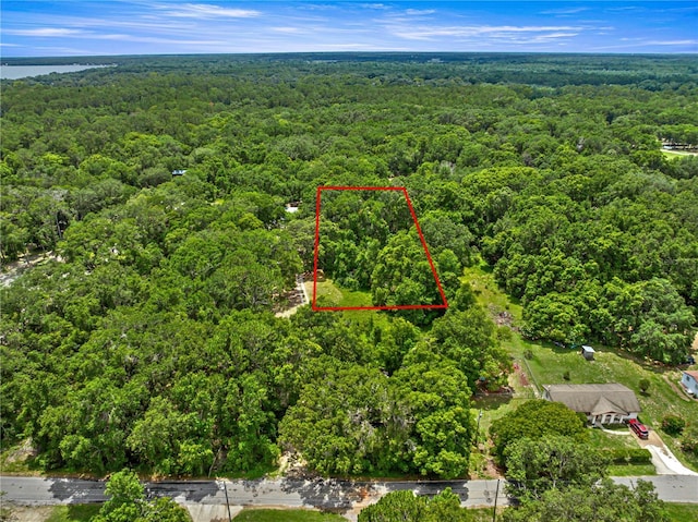 000 SE 140th Ter, Ocklawaha, FL 32179
