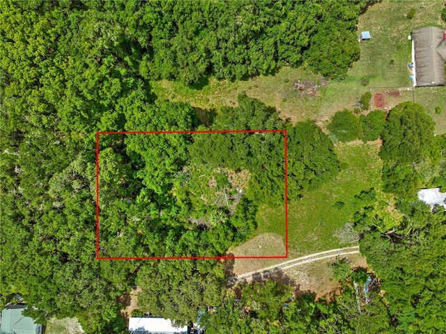 000 SE 140th Ter, Ocklawaha, FL 32179