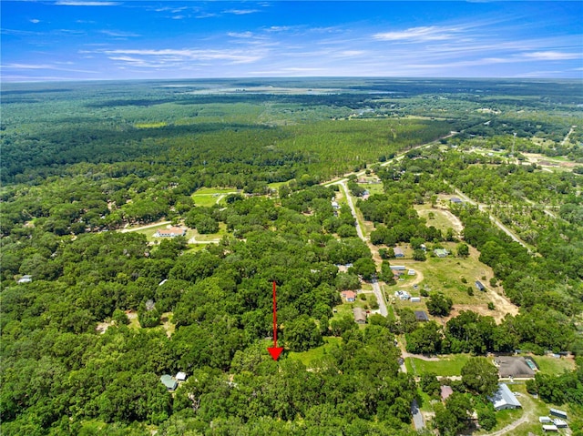 000 SE 140th Ter, Ocklawaha, FL 32179