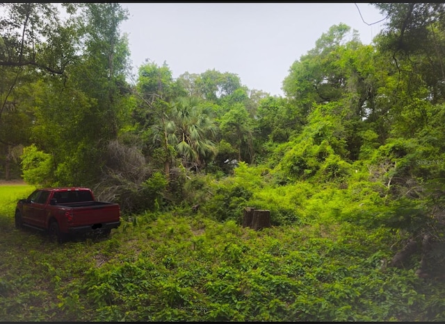 000 SE 140th Ter, Ocklawaha, FL 32179
