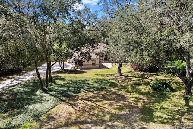 4322 N Mayan Dr, Hernando, FL 34442 - view of green lawn with driveway