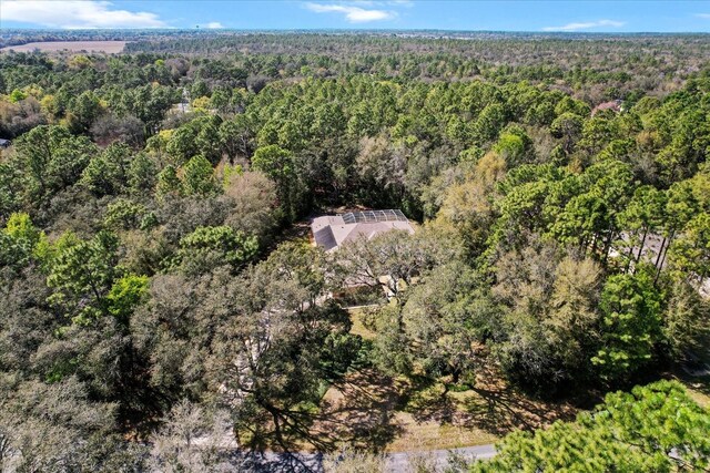 4322 N Mayan Dr, Hernando, FL 34442 - aerial overview of property's location with a forest