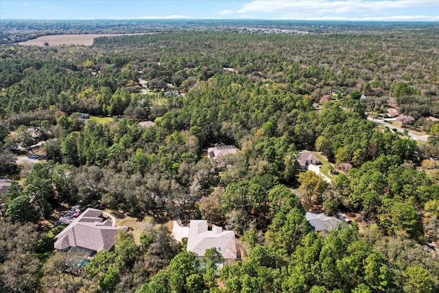 4322 N Mayan Dr, Hernando, FL 34442 - aerial overview of property's location with a forest