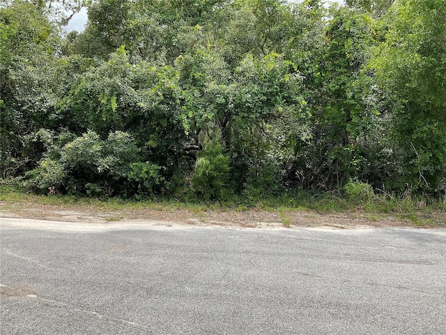 TBDLOT59 Malauka Radial Trl, Ocklawaha, FL 32179 - photo 2