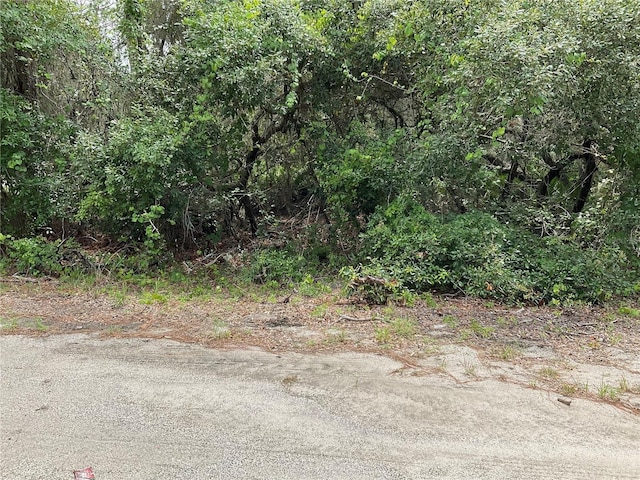 TBDLOT59 Malauka Radial Trl, Ocklawaha, FL 32179 - photo 3