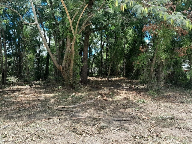 TBD NE 48th St, Williston, FL 32696 - photo 2