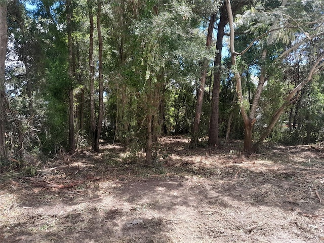 TBD NE 48th St, Williston, FL 32696 - photo 3