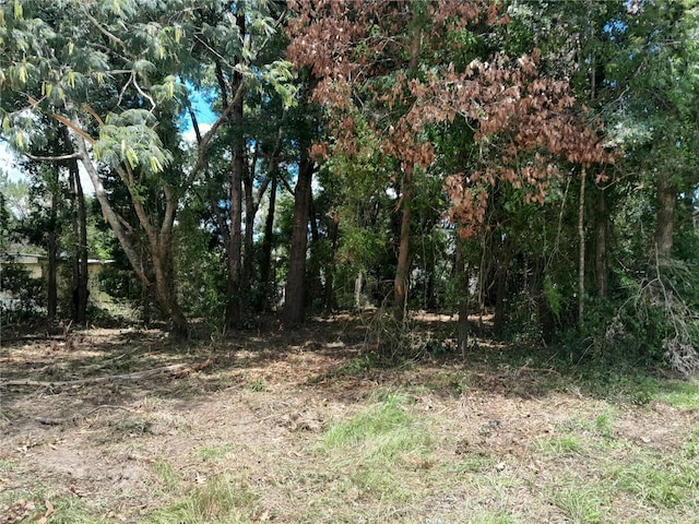 TBD NE 48th St, Williston, FL 32696 - photo 4