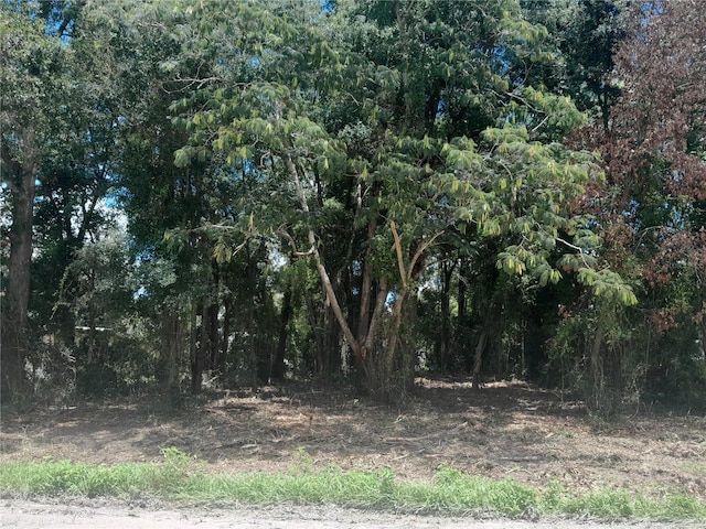 TBD NE 48th St, Williston, FL 32696 - photo 1