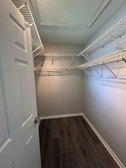 8320 SW 108th Place Rd, Ocala, FL 34481 - photo 15