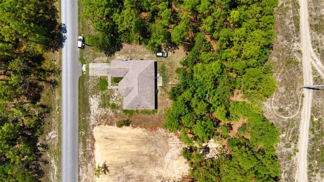 15483 Penn State Rd, Weeki Wachee, FL 34614 - bird's eye view