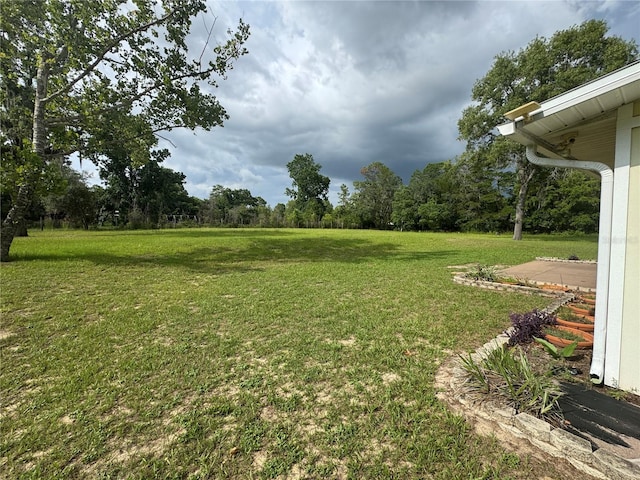 6219 W Holly Brook Ln, Dunnellon, FL 34433 - photo 6