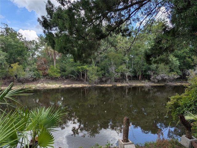 3609 E Westcove Ct, Dunnellon, FL 34434 - photo 1
