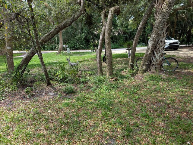 3609 E Westcove Ct, Dunnellon, FL 34434 - photo 57