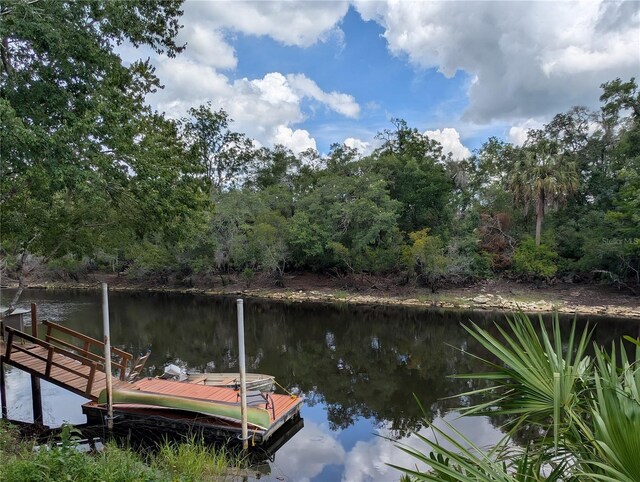3609 E Westcove Ct, Dunnellon, FL 34434 - photo 9