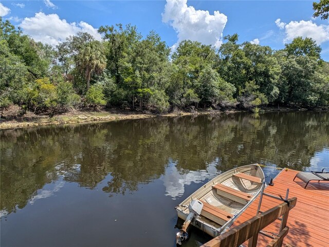 3609 E Westcove Ct, Dunnellon, FL 34434 - photo 7