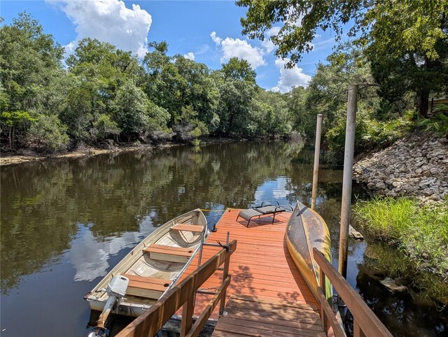 3609 E Westcove Ct, Dunnellon, FL 34434 - photo 3
