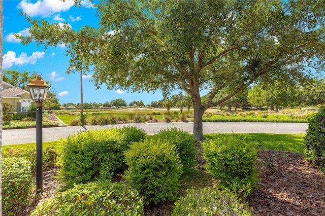 8566 SW 83rd Loop, Ocala, FL 34481 - view of property's community