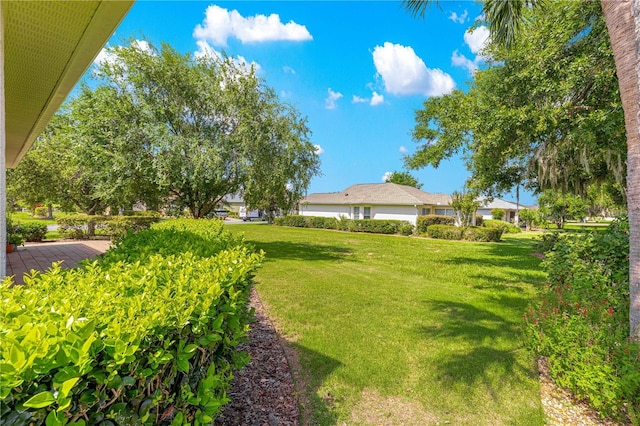 8566 SW 83rd Loop, Ocala, FL 34481 - view of green lawn