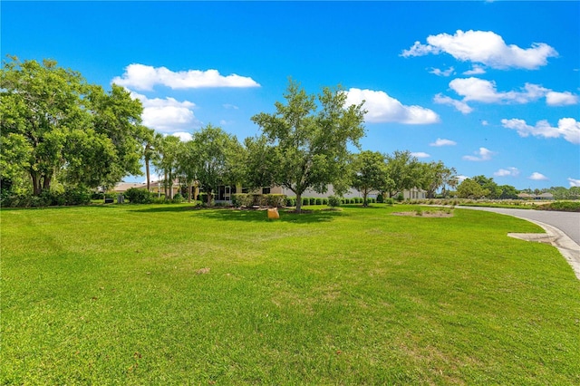 8566 SW 83rd Loop, Ocala, FL 34481 - view of grassy yard