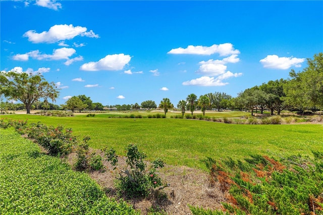 8566 SW 83rd Loop, Ocala, FL 34481 - view of green lawn with a view of countryside