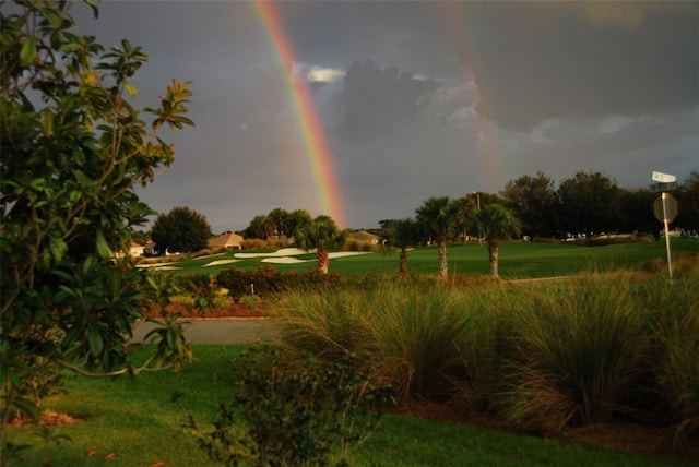 8566 SW 83rd Loop, Ocala, FL 34481 - surrounding community with a lawn