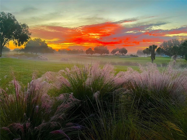8566 SW 83rd Loop, Ocala, FL 34481 - view of nature at dusk