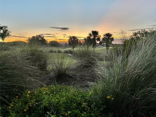 8566 SW 83rd Loop, Ocala, FL 34481 - view of nature at dusk