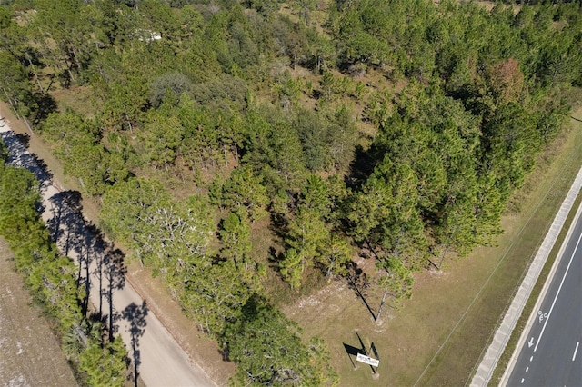 108 Willis Rd, Interlachen, FL 32148