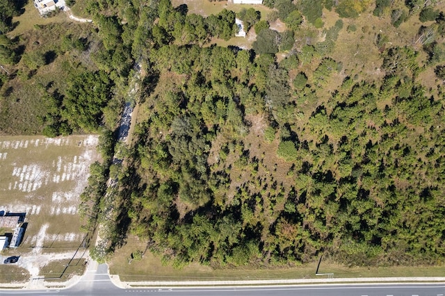 108 Willis Rd, Interlachen, FL 32148
