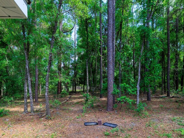 7695 SW 188th Ave, Dunnellon, FL 34432 - photo 38