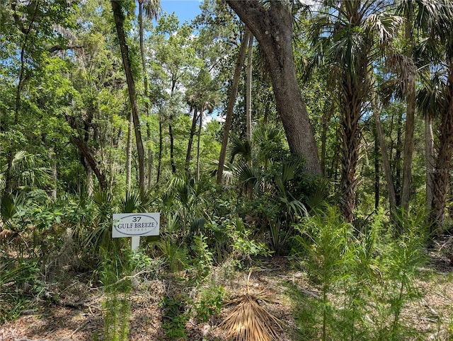 13159 W Gulf Shores St, Inglis, FL 34449 - photo 2