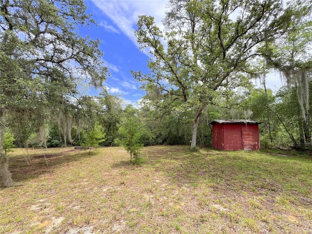 23161 NE 155th Ct, Fort Mc Coy, FL 32134 - view of yard with a storage shed and a view of trees