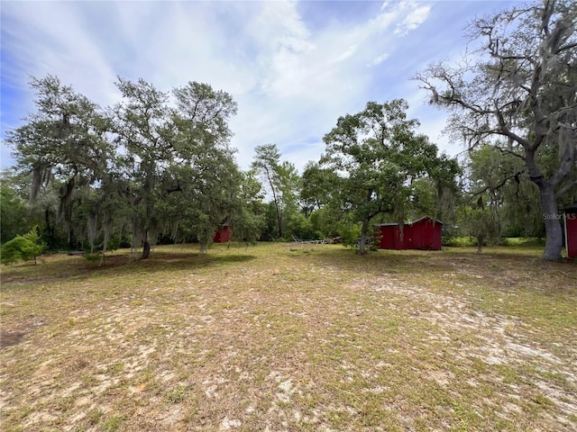23161 NE 155th Ct, Fort Mc Coy, FL 32134 - view of yard featuring an outdoor structure