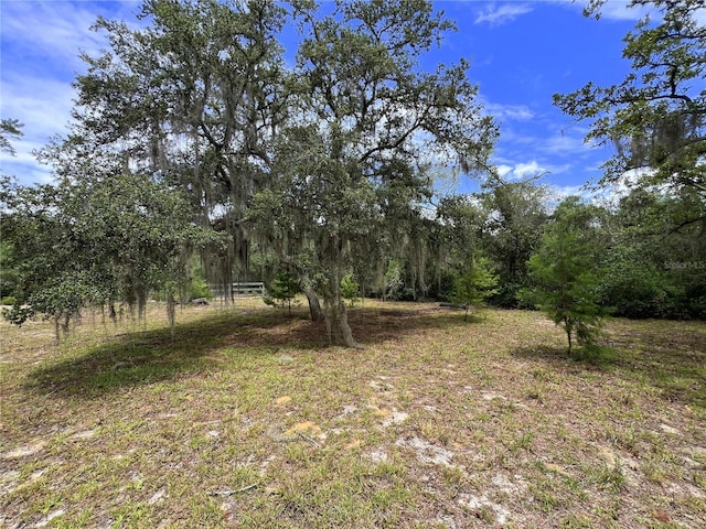 23161 NE 155th Ct, Fort Mc Coy, FL 32134 - view of undeveloped land