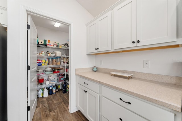4416 Homan Loop, The Villages, FL 32163 - view of pantry