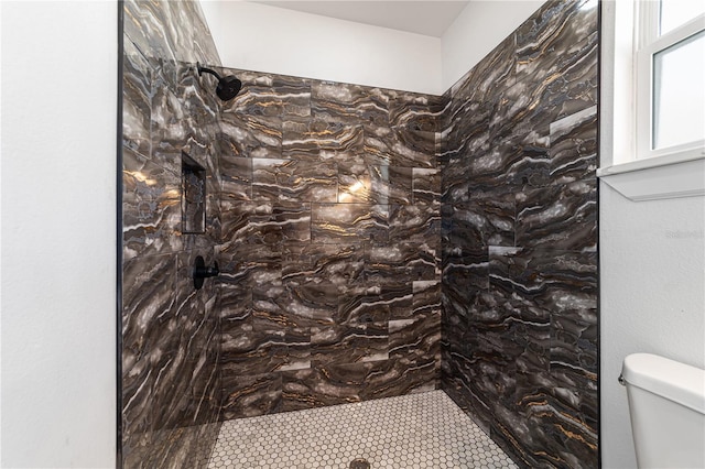 13741 SW 81st Cir, Ocala, FL 34473 - full bath with toilet and tiled shower