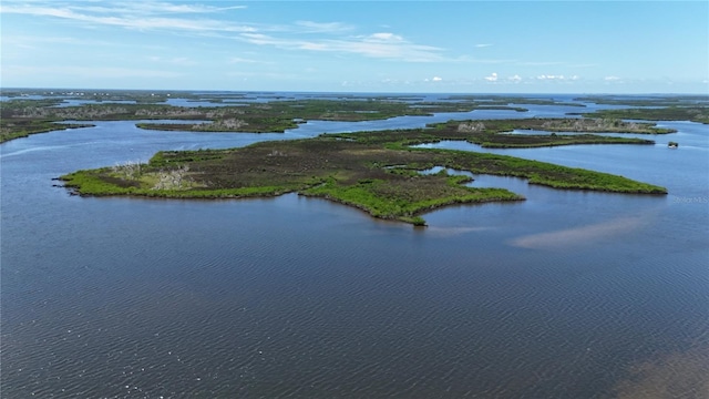 12301 The Salt, Crystal River, FL 34429 - photo 1