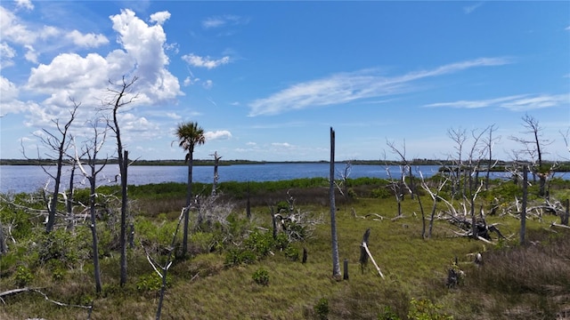 12301 The Salt, Crystal River, FL 34429 - photo 3