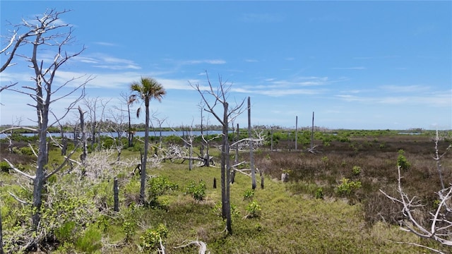 12301 The Salt, Crystal River, FL 34429 - photo 4
