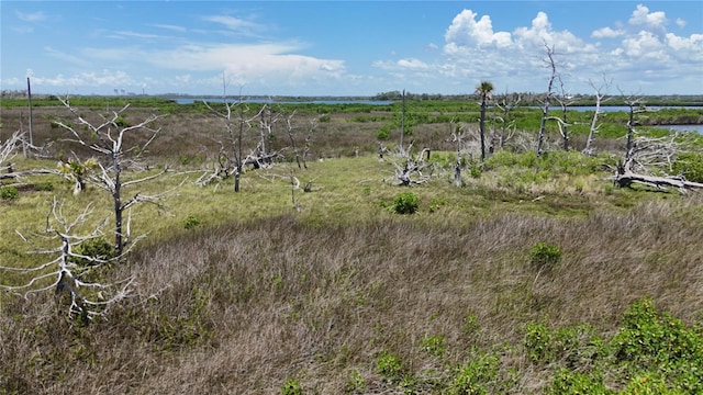 12301 The Salt, Crystal River, FL 34429 - photo 5