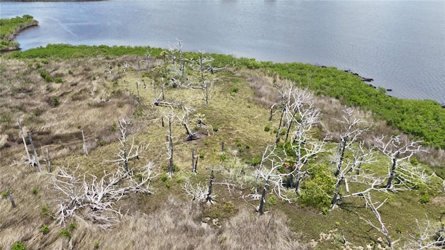 12301 The Salt, Crystal River, FL 34429 - photo 7