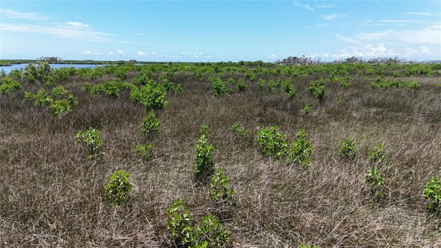 12301 The Salt, Crystal River, FL 34429 - photo 10