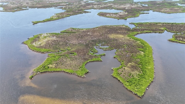 12301 The Salt, Crystal River, FL 34429 - photo 18