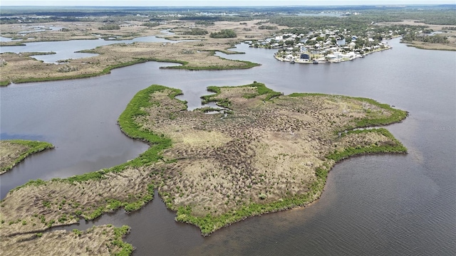12301 The Salt, Crystal River, FL 34429 - photo 24