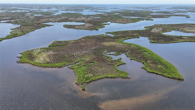 12301 The Salt, Crystal River, FL 34429 - photo 35