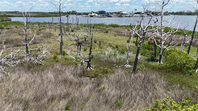 12301 The Salt, Crystal River, FL 34429 - photo 36