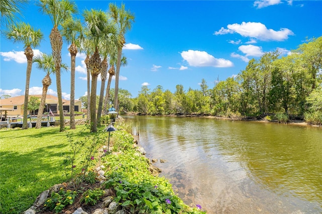 3817 N Calusa Pt, Crystal River, FL 34428 - photo 44