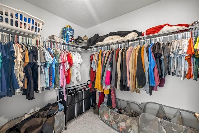7695 SW 64th Street Rd, Ocala, FL 34474 - spacious closet with carpet